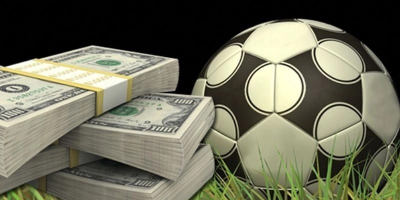 Đặt cược ngược số đông khi thấy odds bị lệch