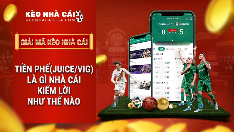 Tiền phế (Juice/Vig) là gì? Nhà cái kiếm lời như thế nào?